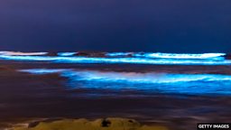 The 'magical' bioluminescence that makes the sea glow blue at night “神奇的” 生物发光现象令海水在夜晚发出蓝光