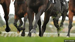 Horse racing's Grand National made safer 英国国家障碍赛马大赛出于安全考虑修改赛制