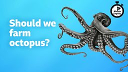 Should we farm octopus?