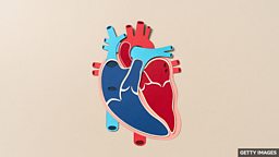 How old is your heart? 你的心脏年龄是多少？