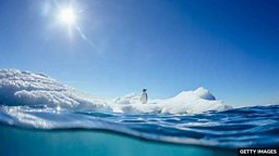 Ozone hole: Why Antarctic wildlife is being 'sunburnt' 臭氧层空洞：为什么南极动植物被 “晒伤” 了？