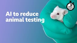 AI to reduce animal testing
