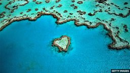 Great Barrier Reef: new study reveals threat of climate change 新研究指出气候变化对大堡礁造成威胁