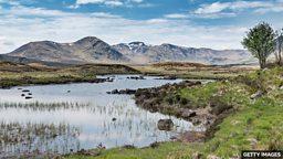 Scotland's stunning bogland awarded UNESCO World Heritage 苏格兰弗罗湿地被列入联合国教科文组织世界遗产名录