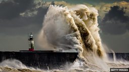 近义词辨析:erratic、volatile、mercurial、capricious、fickle