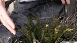 Scientists warn critical loss of nature 科学家对自然环境的损失发出警告