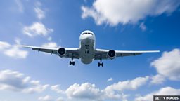 Tropical moths travel 4,500 miles in photographer's bag 热带飞蛾 “搭乘” 一摄影师的旅行袋完成了 4500 英里的旅程