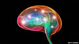 What makes a person wise? 什么样的人是智慧的？