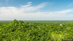 Lost Mayan city found in Mexico jungle 墨西哥丛林中失落的玛雅城市重见天日
