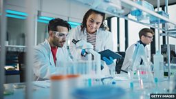 包含单词 “research” 的常见搭配