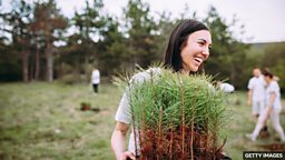 包含单词 “environment” 的常见搭配
