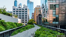 The benefits of pocket parks 袖珍公园为城市带来的好处