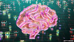 包含单词 “theory” 的常见搭配