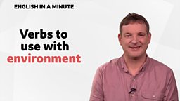 Verbs to use with 'environment'