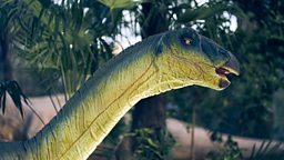 Unique dinosaur species found in Mongolia 科学家在蒙古发现独特的新恐龙物种