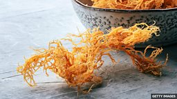 Sea moss: super food or just another health hype? 海藻：超级食物还是健康概念炒作？