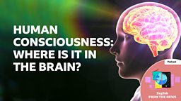 Human consciousness: Where is it in the brain?