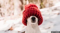 三个包含单词 “hat” 的短语