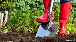 Scratch the surface 只触及事物表面，不够深入