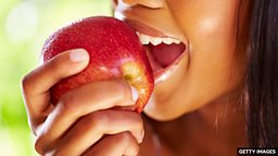 四个包含单词 “bite” 的短语