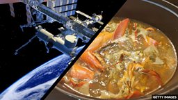 Michelin-starred chef's lobster bisque and foie gras heading to space 米其林星级主厨的龙虾浓汤和法式鹅肝即将登上太空