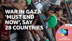 War in Gaza 'must end now', 28 countries say