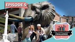 Episode 5: Elephants