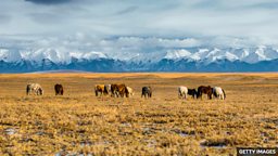 Ancient Siberian 'ice mummy' had intricate tattoos, imaging reveals 图像揭示古代西伯利亚 “冰封木乃伊” 身上复杂精细的纹身