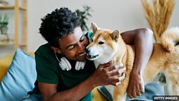 Is your dog reading your mind? 你的狗狗能读懂你的心思吗？