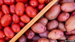 Why potatoes wouldn't exist without tomatoes 为什么没有番茄就没有土豆