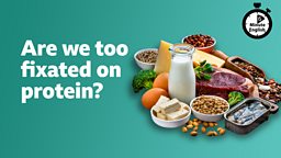 Are we too fixated on protein?