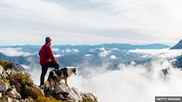 近义词辨析:worth 和 worthy