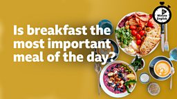 Is breakfast the most important meal of the day?