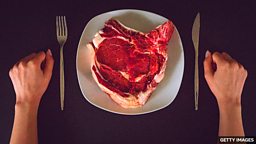 The meat eaters 只吃肉的人