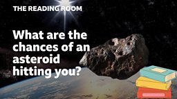 What are the chances of an asteroid hitting you?