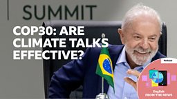 COP30: Are climate talks effective at fighting climate change?