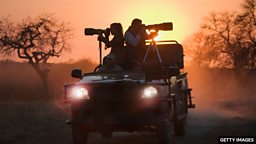 What makes good wildlife photography 优秀的野生动物摄影有什么特征