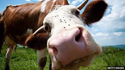 如何用不同的英语单词表达 “证明一件事”