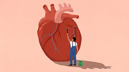 How to keep your heart healthy 如何保持心脏健康