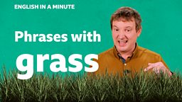 Phrases with 'grass'