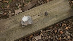 Earliest known human-made fire uncovered in the UK 研究人员在英国发现了已知最早的人类取火痕迹