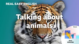 Talking about animals