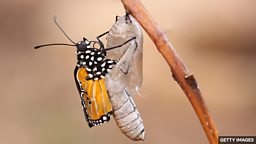 四个包含单词 “change” 的短语