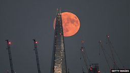 Shapes and colours of the Moon 月亮的万千色相