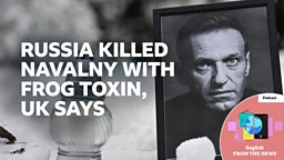 Russia killed opposition leader Alexei Navalny with frog toxin, UK says 