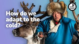 How do we adapt to the cold?
