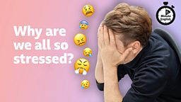 Why are we all so stressed?