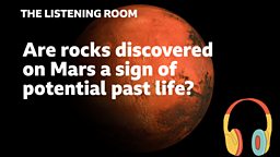 Are rocks discovered on Mars a sign of potential past life?