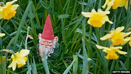 Prestigious flower show lifts gnome ban 知名花展取消花园小矮人装饰禁令