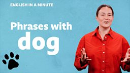 Phrases with 'dog'